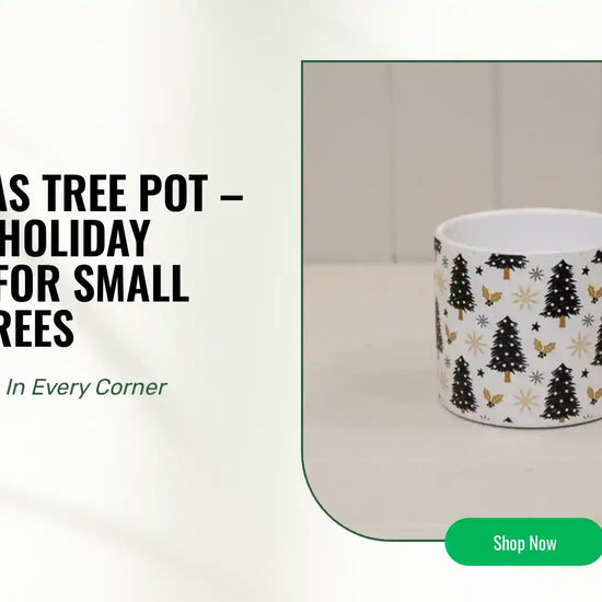 Christmas Tree Pot &ndash; Ceramic Holiday Planter for Small Festive Trees by@Outfy